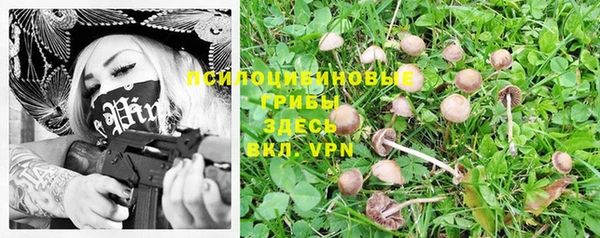 mdma Бородино